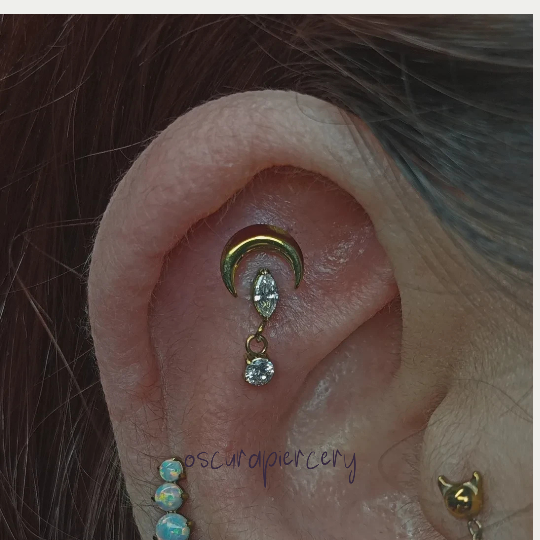 ALICIA DUET | Implant Grade Titanium | Oscura Piercery