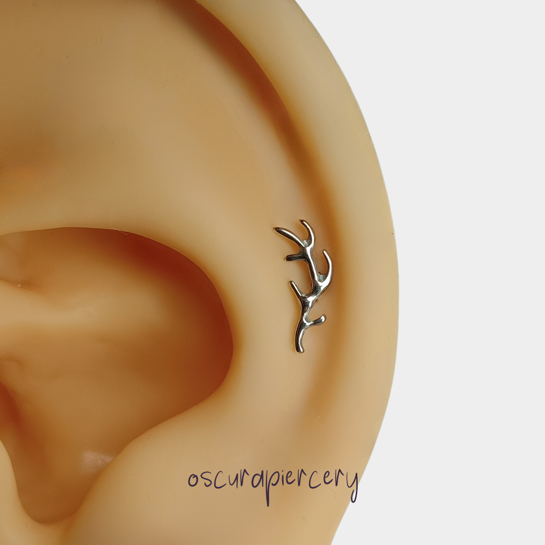 ANTLER | Implant Grade Titanium | Oscura Piercery