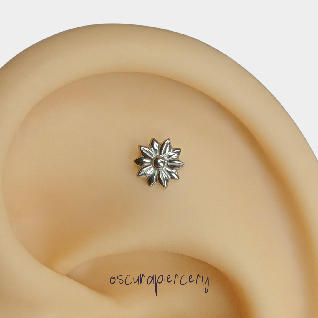 MISS DAZY | Implant Grade Titanium | Oscura Piercery
