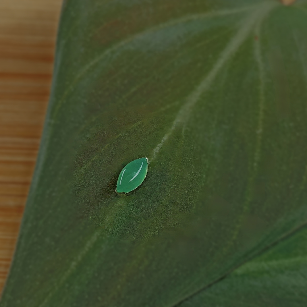 MARQUISE BEZEL | Anatometal