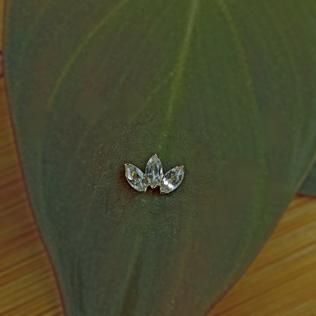 MINI MARQUISE FAN | Anatometal