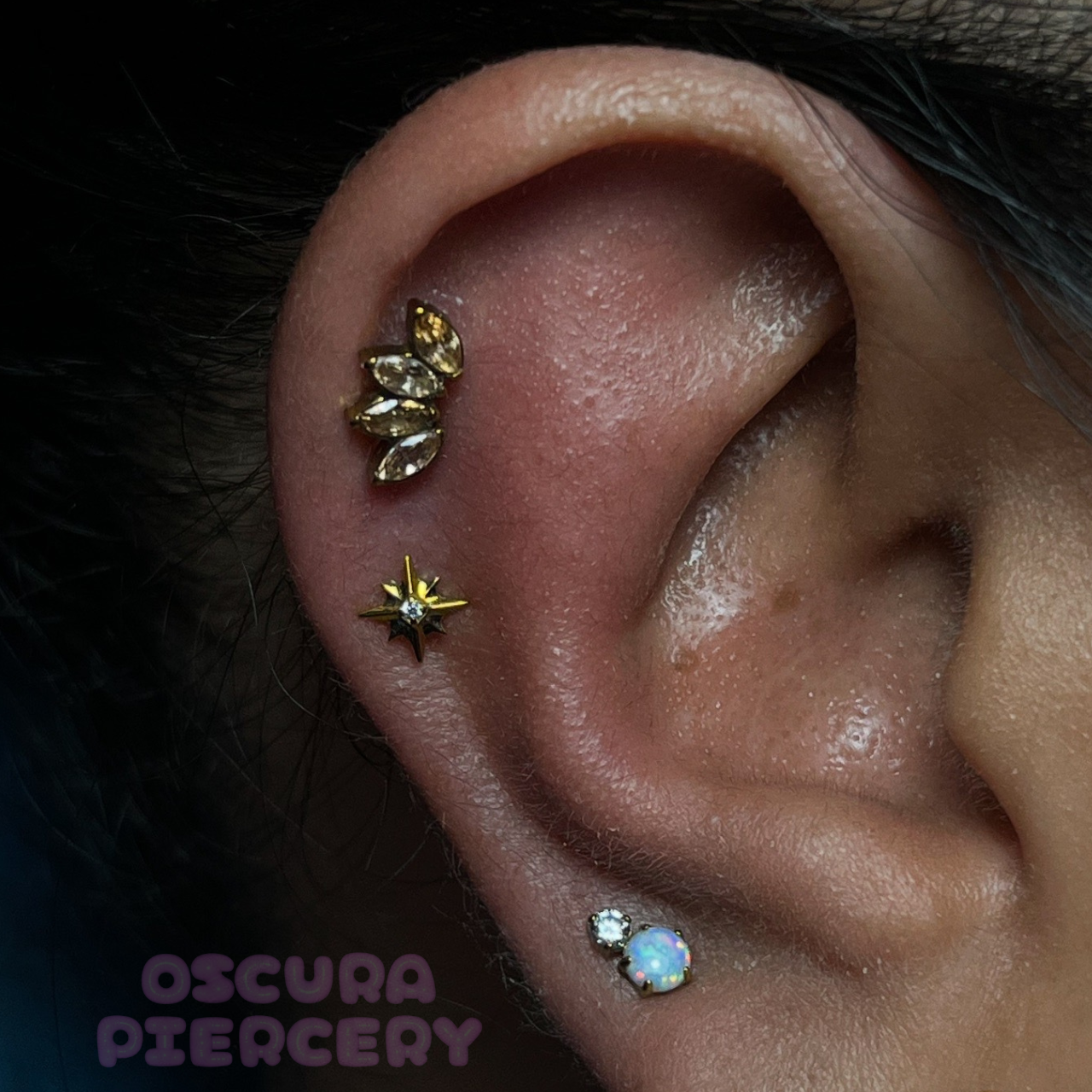 NOVA | Implant Grade Titanium | Oscura Piercery
