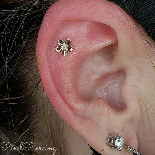 CZ FLOWER | Junipurr