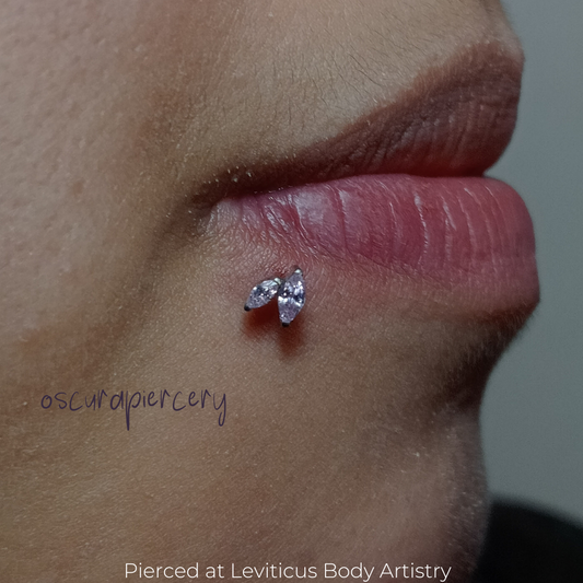 NISSA | Implant Grade Titanium | Oscura Piercery