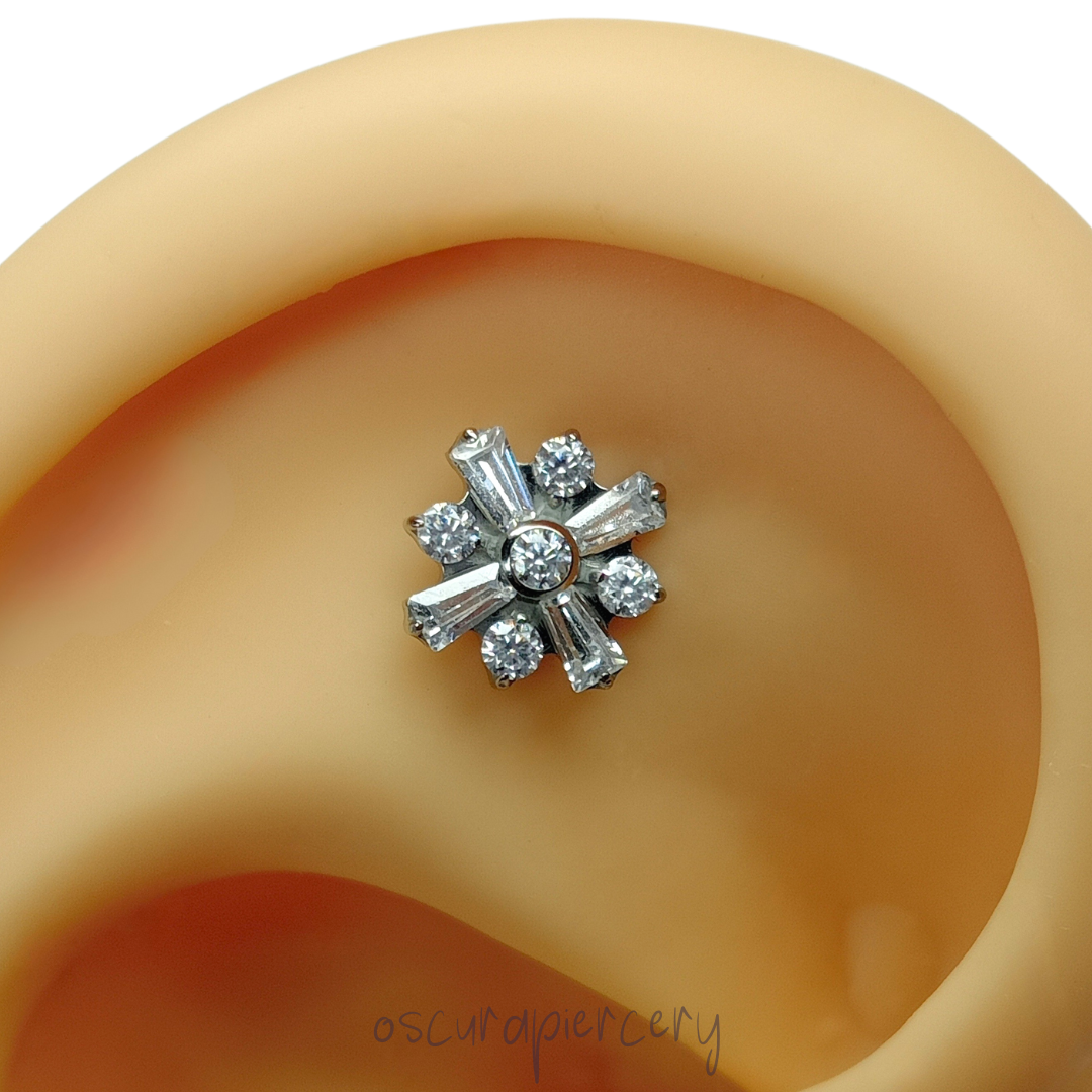 OLIVA | Implant Grade Titanium | Oscura Piercery