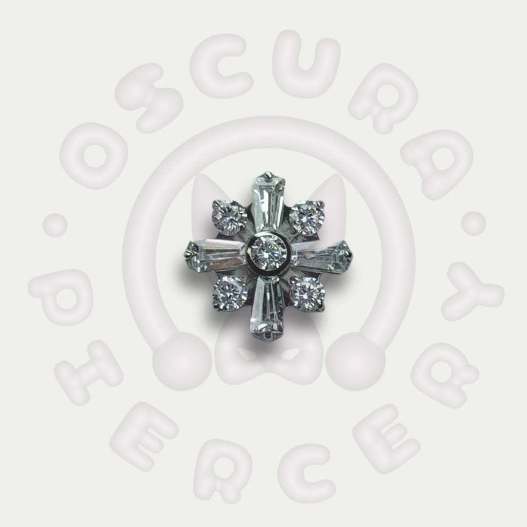OLIVA | Implant Grade Titanium | Oscura Piercery