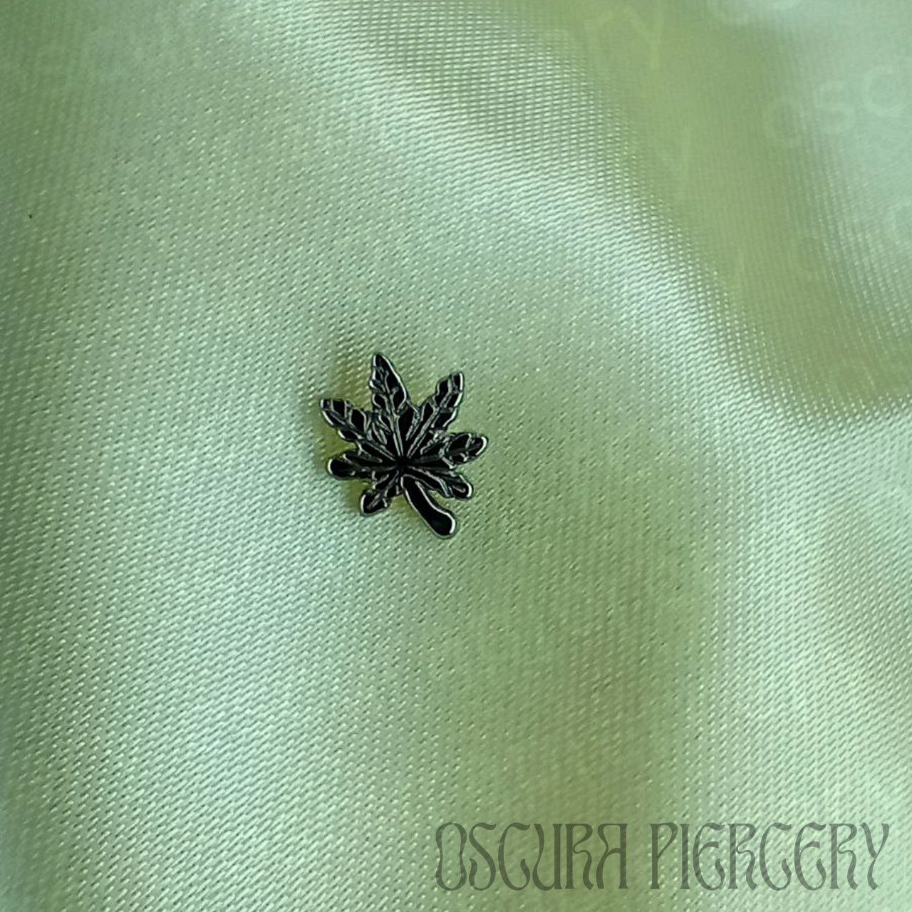 CANNA | Implant Grade Titanium | Oscura Piercery