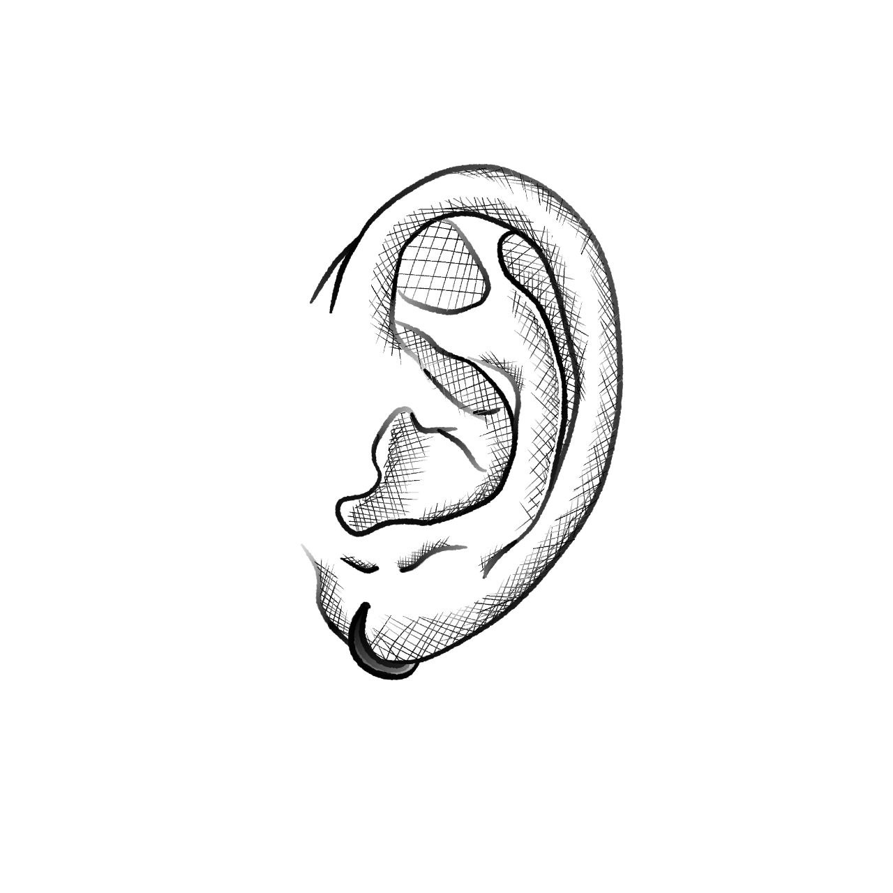 Lobe