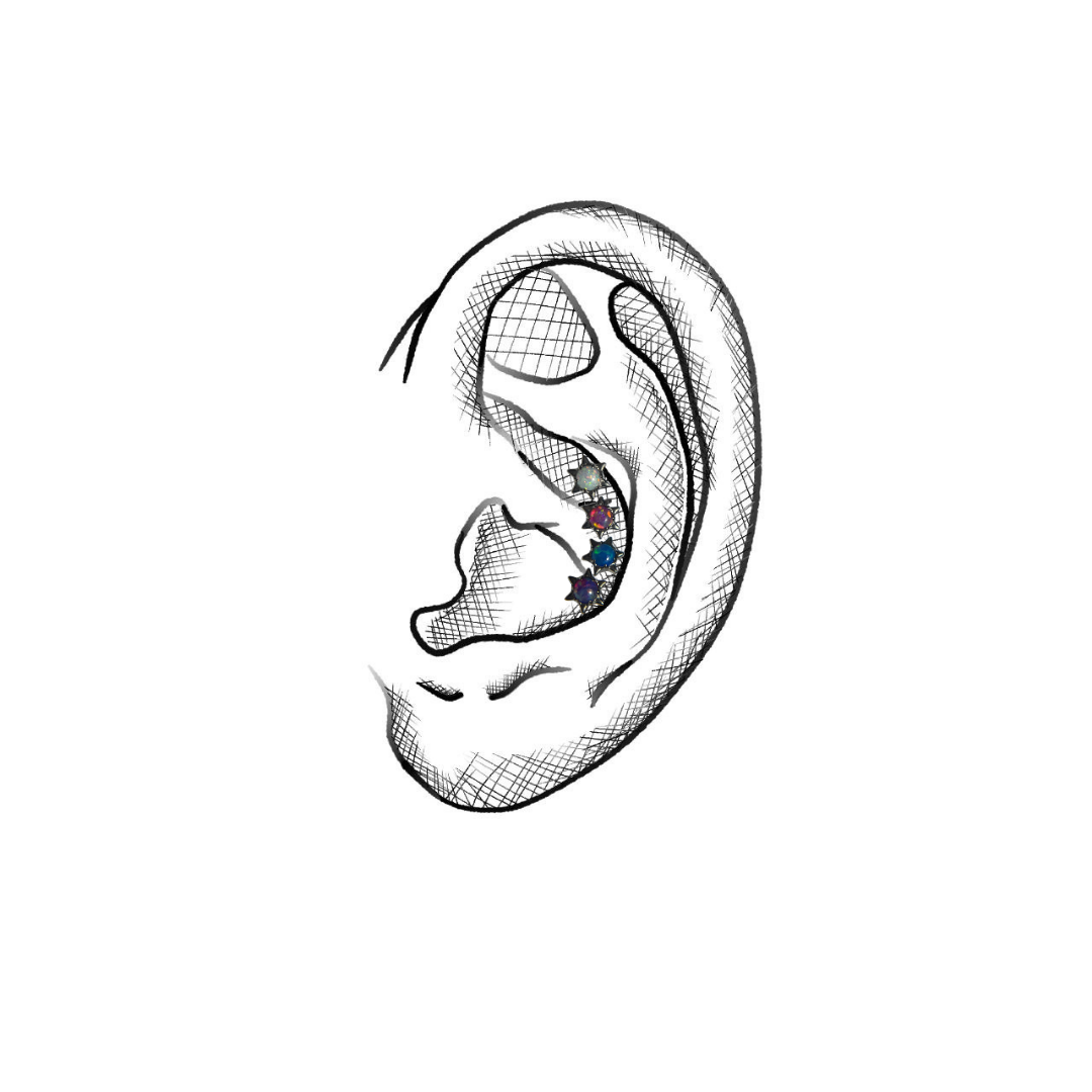 Conch