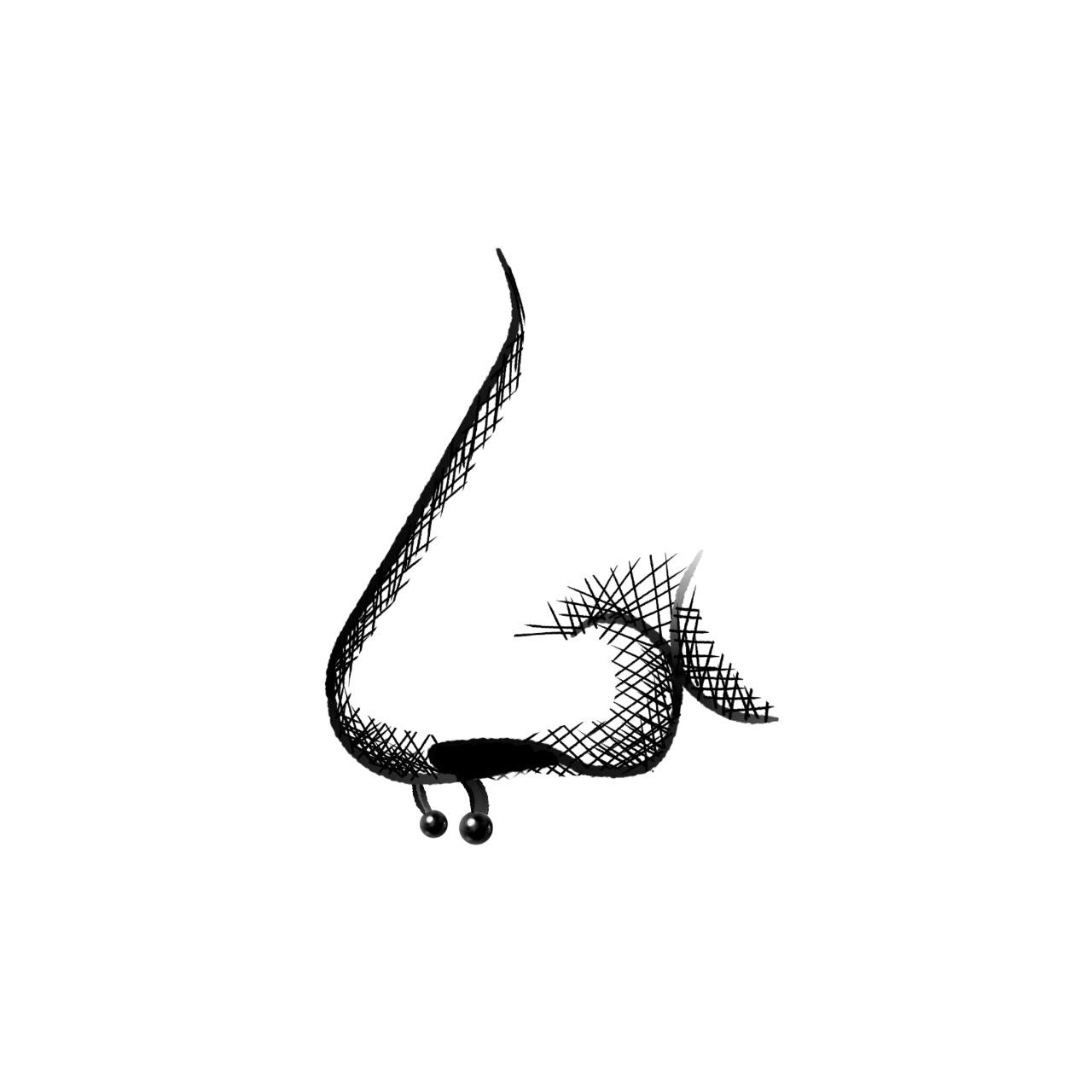 Septum