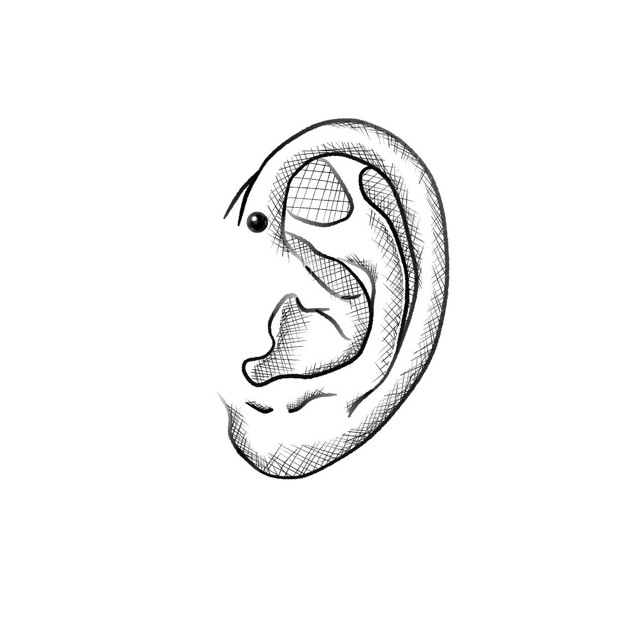 Forward Helix