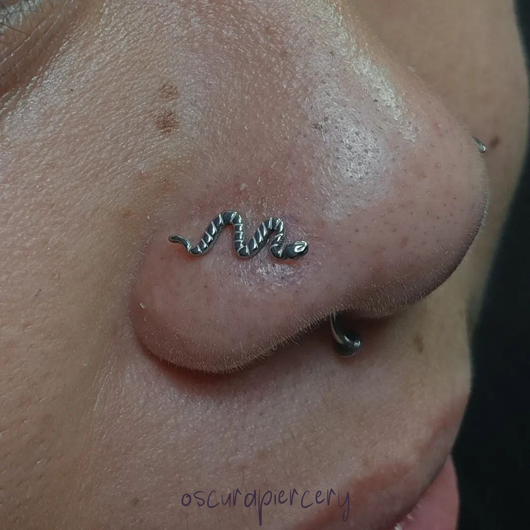SNAKE | Implant Grade Titanium | Oscura Piercery