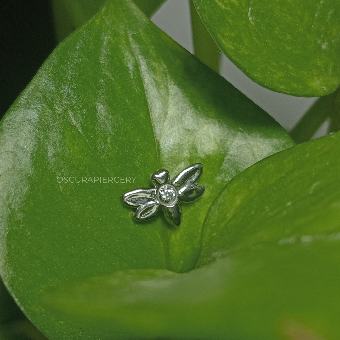 DRAGONFLY | Implant Grade Titanium