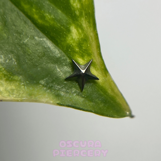 STAR | Implant Grade Titanium | Oscura Piercery