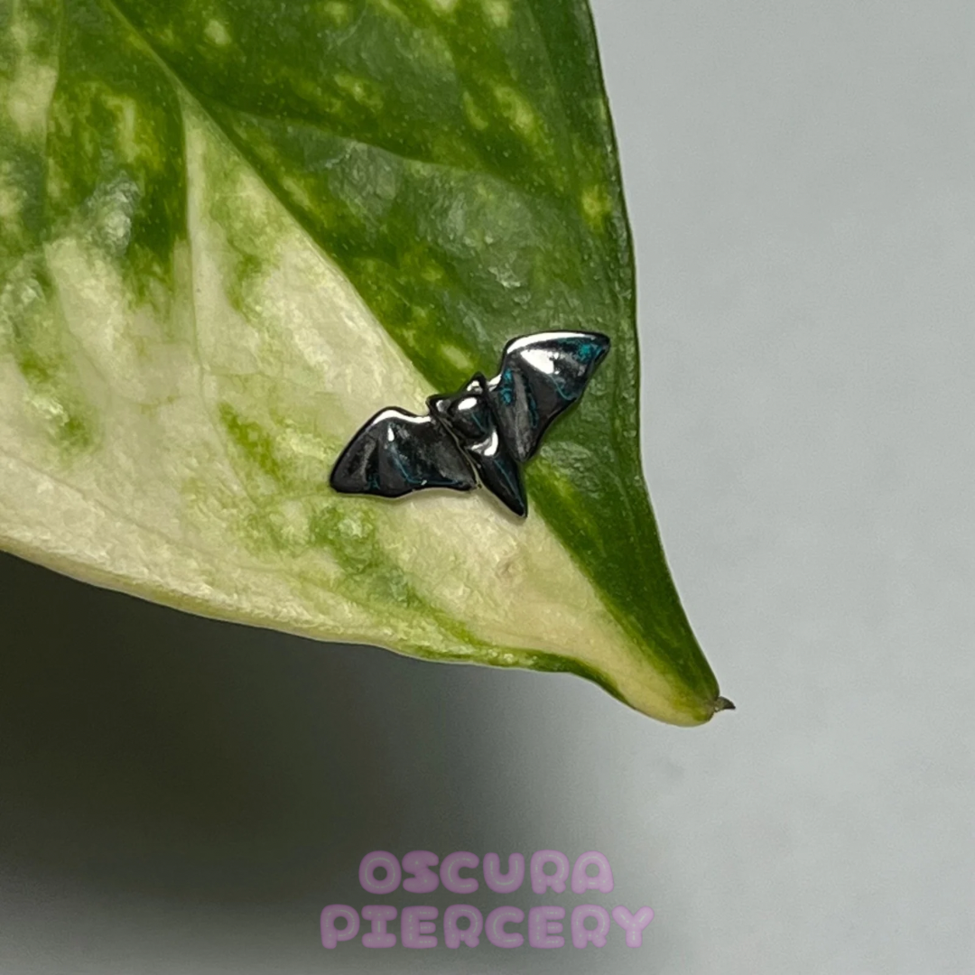 BAT | Implant Grade Titanium | Oscura Piercery