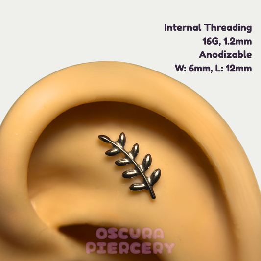 AMITA | Implant Grade Titanium | Oscura Piercery