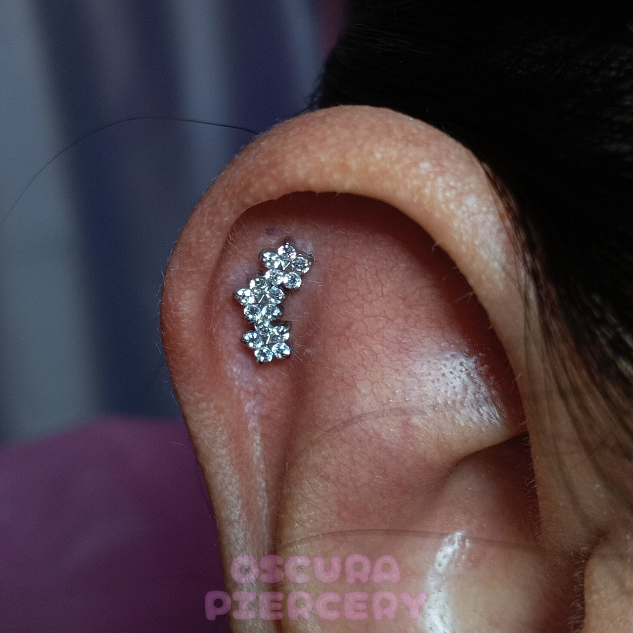 ROSITAS | Implant Grade Titanium | Oscura Piercery
