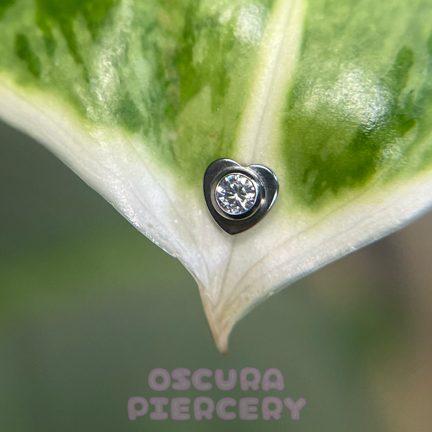 MY HONEY | Implant Grade Titanium | Oscura Piercery