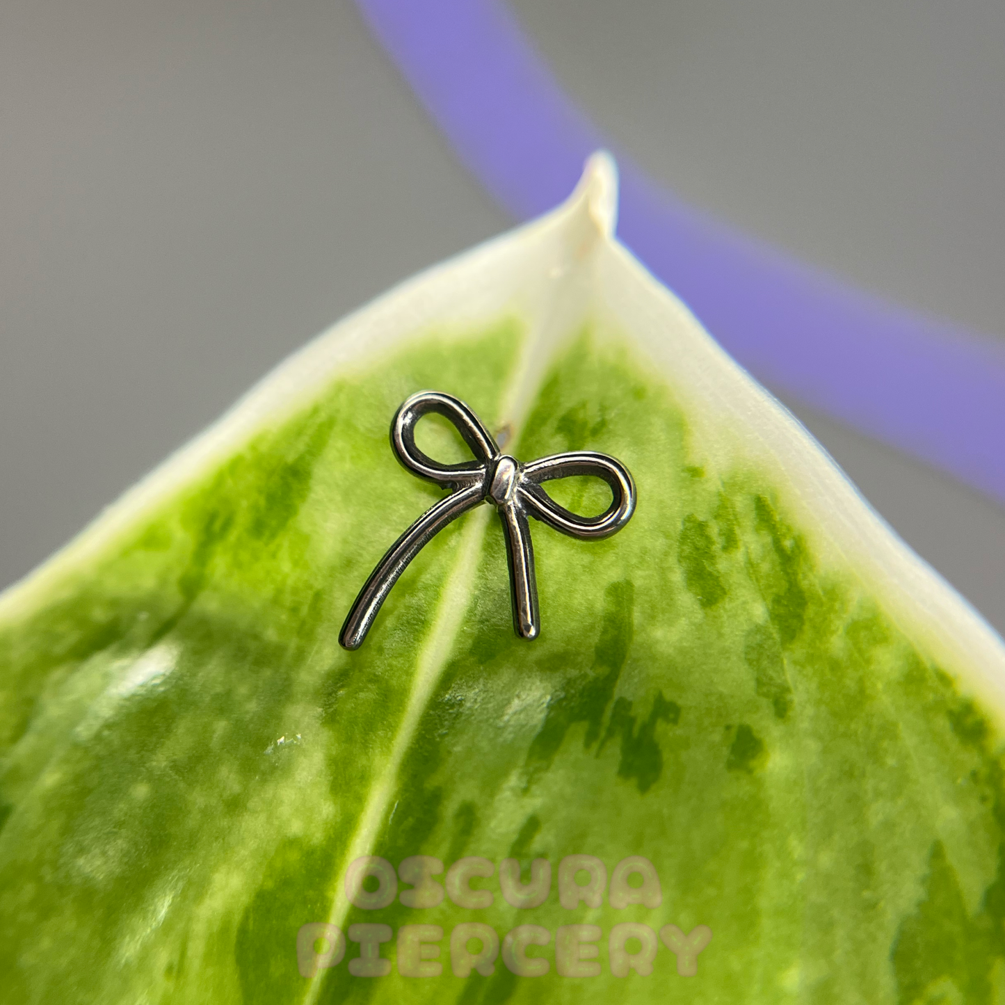 KOKI BOW | Implant Grade Titanium | Oscura Piercery