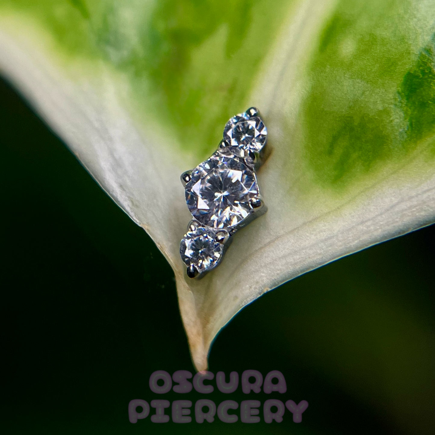 REGIS | Implant Grade Titanium | Oscura Piercery