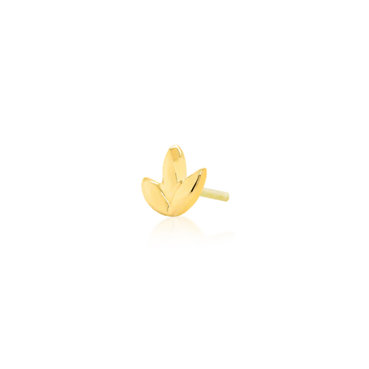 DR. BLOOM | Junipurr
