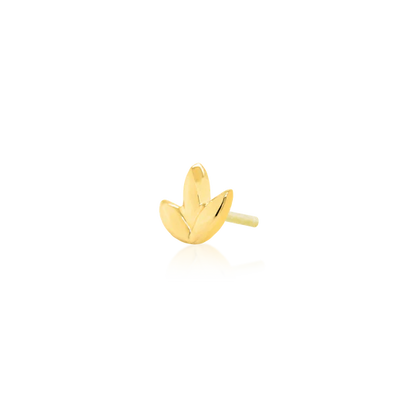 DR. BLOOM | Junipurr